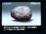 CIMG2959.JPG