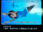 CIMG3388.JPG