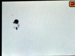 CIMG5032.JPG