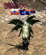 ぴー