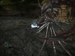 capture_00007.jpg