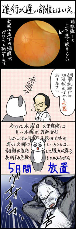 081121.jpg