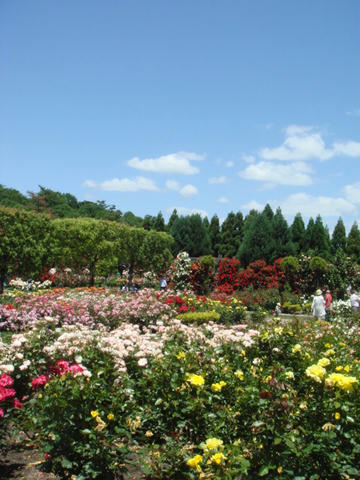 DSC04063.JPG