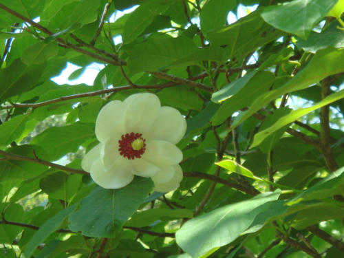 DSC04124.JPG