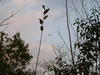 RIMG0182.jpg