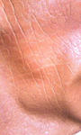 100119_1947~010001.jpg