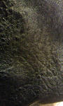 100119_1947~030001.jpg