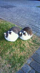 201002071600002.jpg