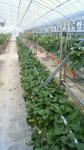 201003081208000.jpg