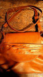 201008031441000.jpg