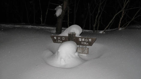 341f4b94.JPG