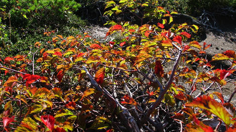 20110924_G12_0236.JPG