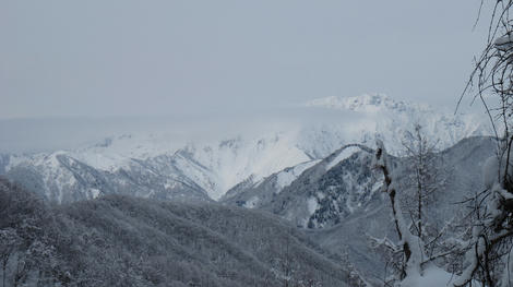 20120122_G12_0293.JPG