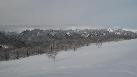 20120122_G10_0274.JPG