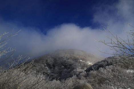 20120217_50D_0033.JPG