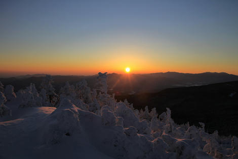 20120219_50D_0139.JPG