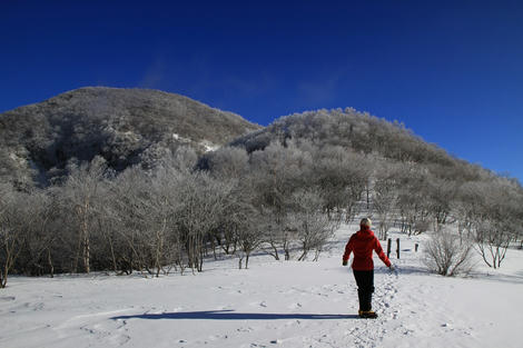 20120217_50D_0054.JPG