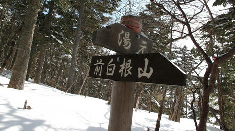 20120303_G10_0115.JPG