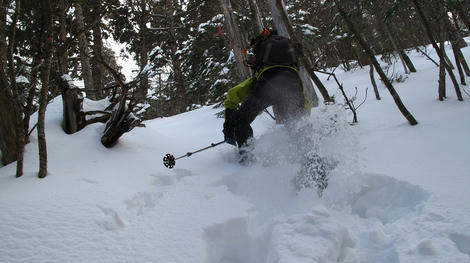 20120303_G10_0098.JPG
