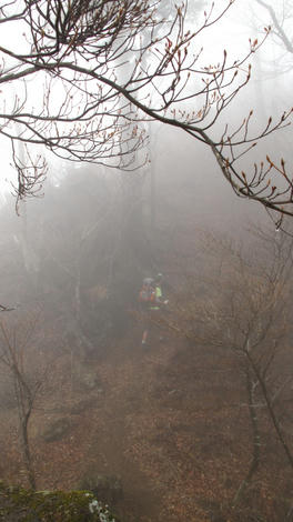 20120421_G10_0035.JPG