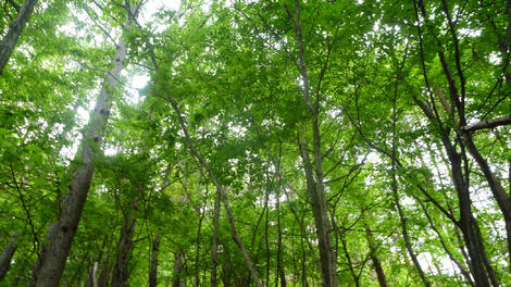 20120602_LUMIX_0018.JPG