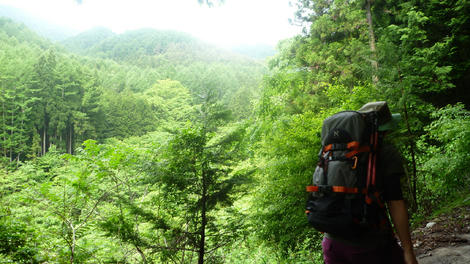 20120602_LUMIX_0008.JPG