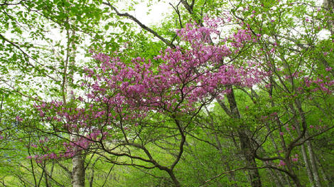 20120602_G10_0171.JPG