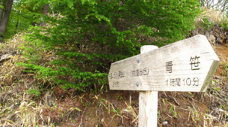 20120602_G10_0175.JPG