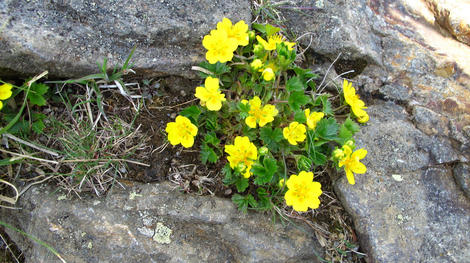 20120623_G12_0406.JPG