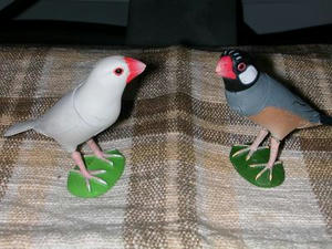DSCN2818.JPG