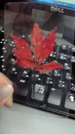 2008122218460000.jpg