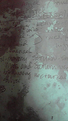 2009012615310000.jpg
