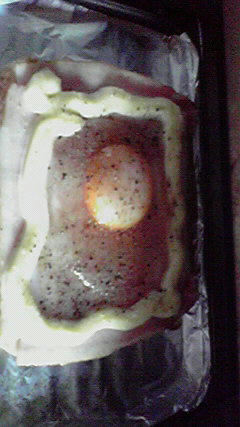 2009013110230000.jpg