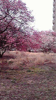 2009020314430000.jpg