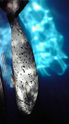 2009050914240000.jpg