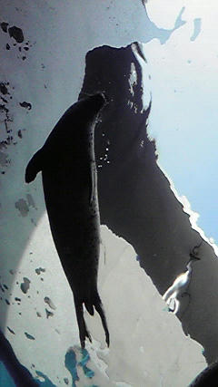 2009050914260000.jpg