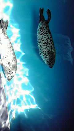 2009050914270000.jpg