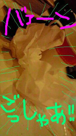 2010021319070000.jpg