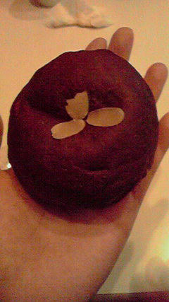 2010021312170001.jpg