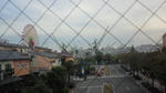 NEC_0018.JPG