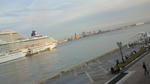 NEC_0017.JPG