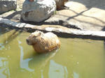 IMG_20130713_093652.jpg