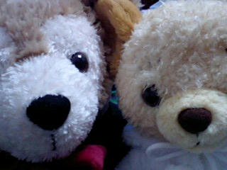 クマなのにネコとクマなのにウサギ。（笑）