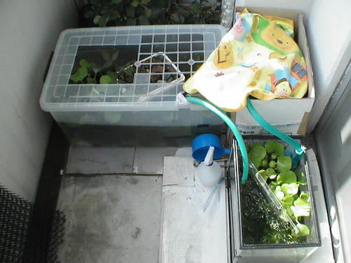 PIC_0004.JPG