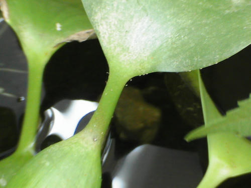 8604c332.JPG