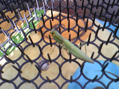 Image002.jpg