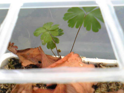 Image005.jpg