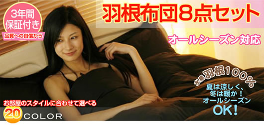 【送料無料】 新20色羽根布団8点セット
