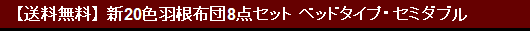 【送料無料】 新20色羽根布団8点セット ベッドタイプ・セミダブル
