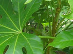 7yatude070719a_u2.jpg